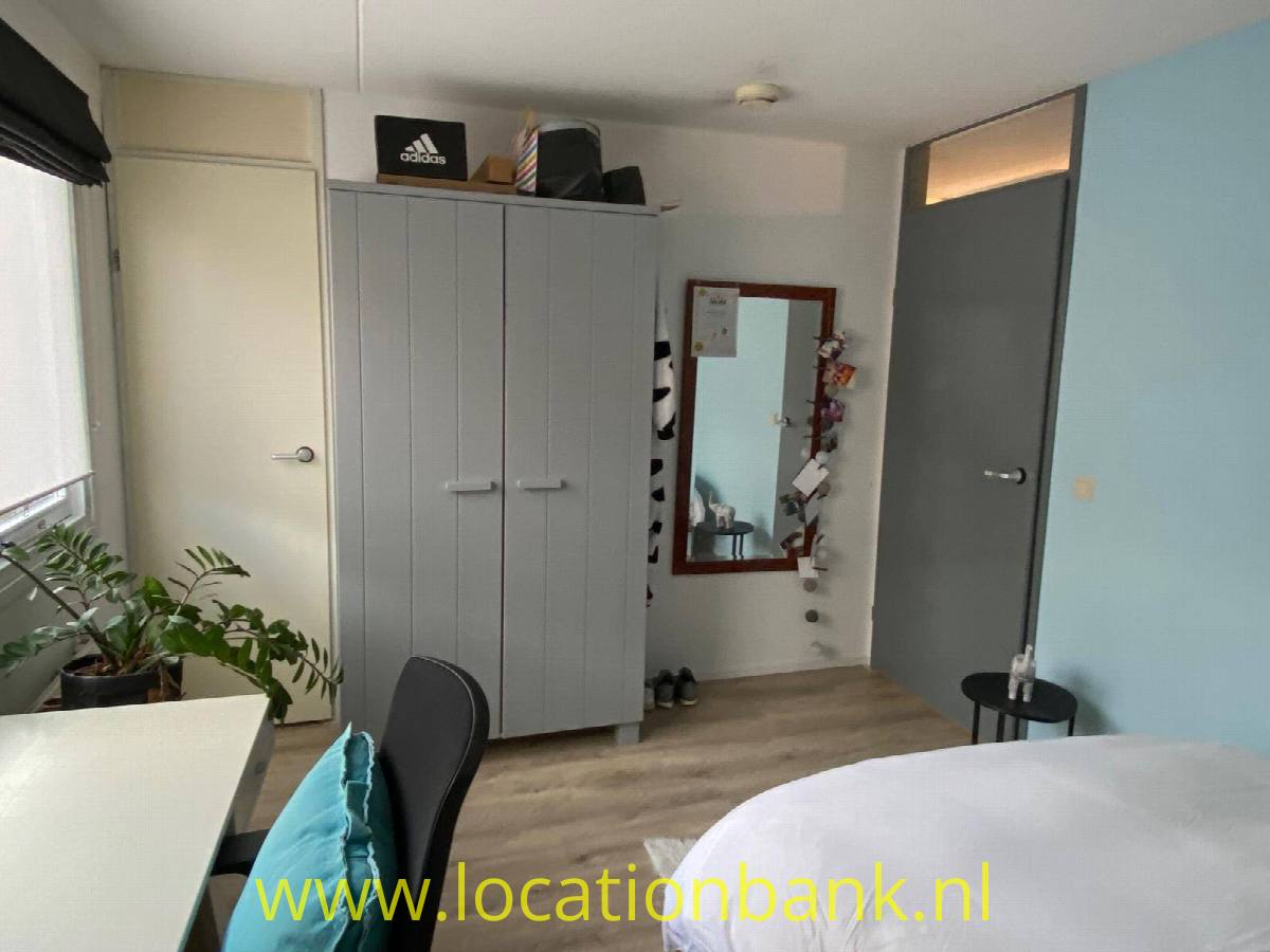 Locatie 9